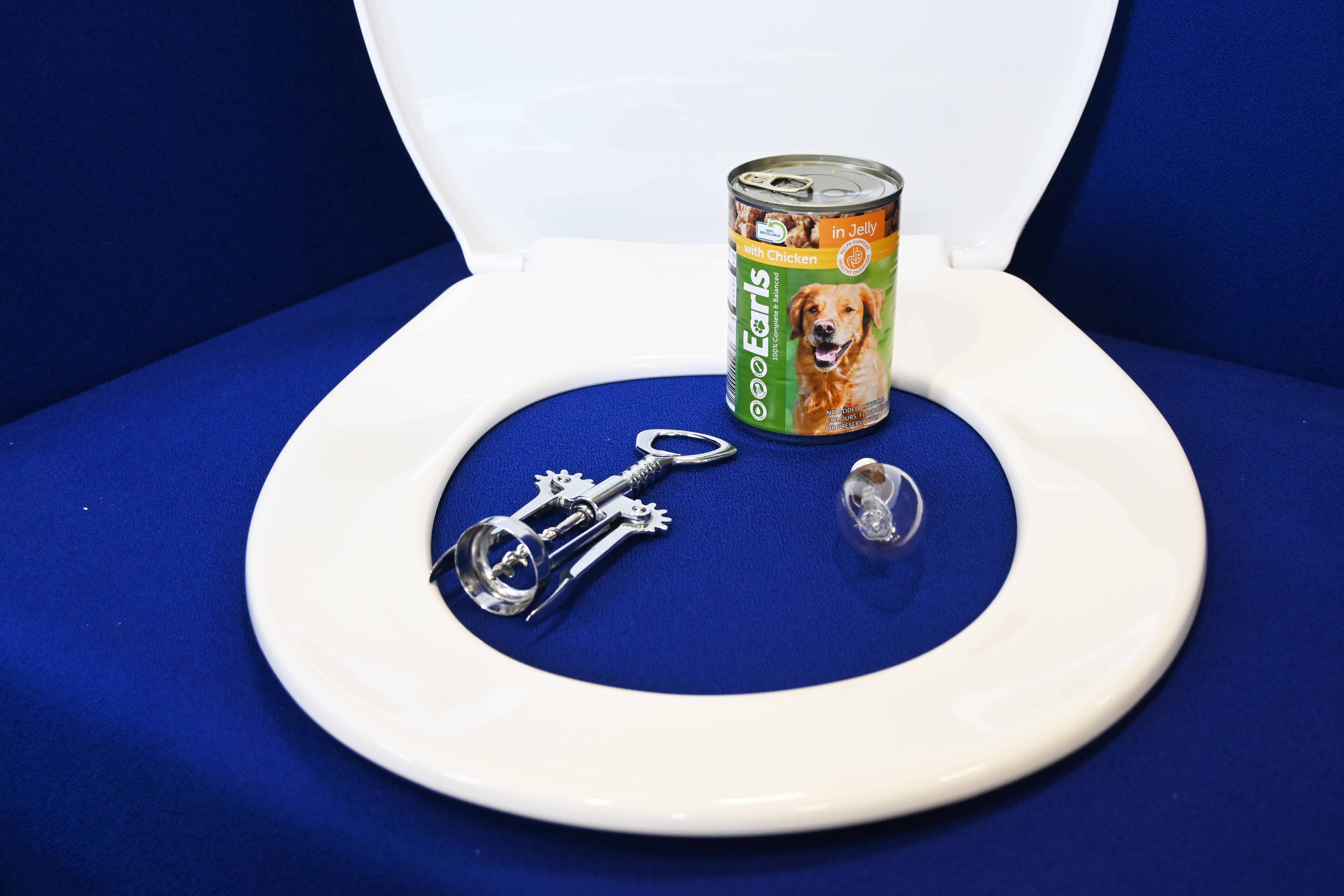 A series of seemingly random objects appear on a blue background. There is a white toilet seat, a tin of dog food, a corkscrew and a light bulb. 