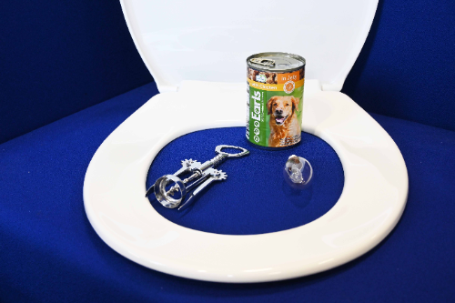 A series of seemingly random objects appear on a blue background. There is a white toilet seat, a tin of dog food, a corkscrew and a light bulb.